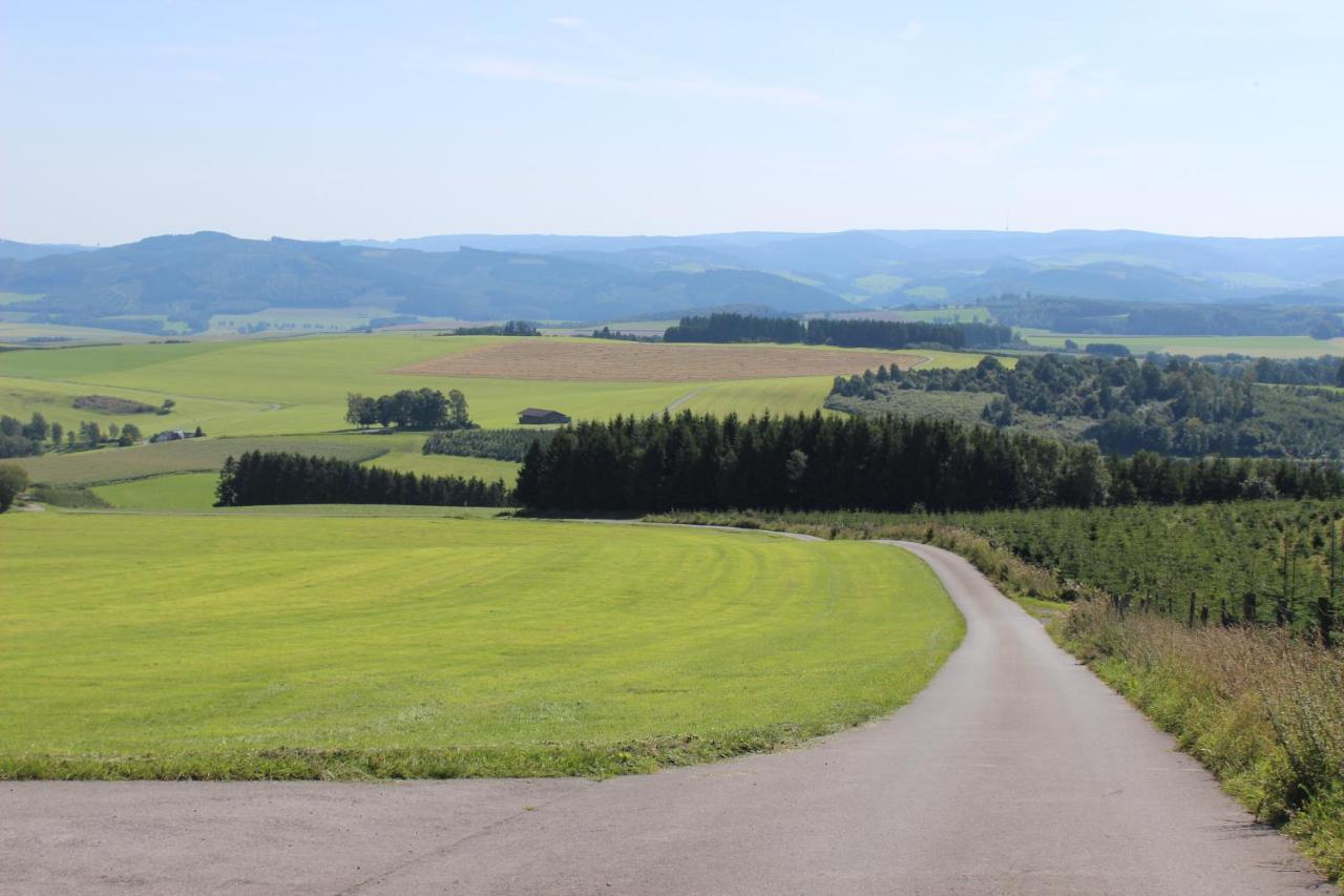 Haus Bergeshoeh Hochsauerland إسلوهي المظهر الخارجي الصورة